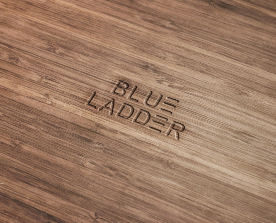 Blue Ladder - Our Services